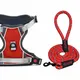 Red And Grey__Petrends