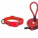 Red__Petrends