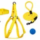 Yellow__Petrends