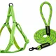 Green__Petrends