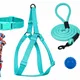 Turquoise__Petrends