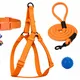 Orange__Petrends