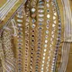Mustard__Euor Fashion