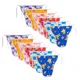 Multicolor__TS LAVI TAVI