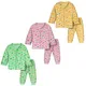 Multicolor__TS LAVI TAVI