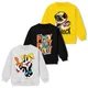 Multicolor__TS LAVI TAVI