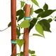 Beige__GARDENBASICS 