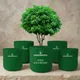 Pack Of 5__GARDENBASICS 