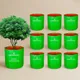 Pack Of 10__GARDENBASICS 