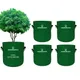 Pack Of 5