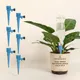 Pack Of 6 Blue