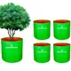 5 Pcs Green