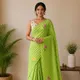 parrot green__Vastra Vedam