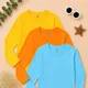 Yellow, Orange and Sky Blue__Nusyl