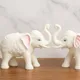 White__AnantKriti