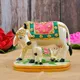 White__AnantKriti