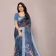Blue__Hiyami Fashion