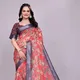 Red__Hiyami Fashion