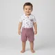 White And Purple__Baby Papajo