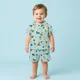 Light Blue__Baby Papajo