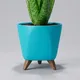 Blue__Mera Paudha