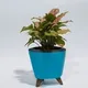Blue__Mera Paudha