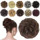 Multicolour__Pravrajya