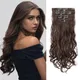 Brown__Pravrajya