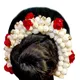 White And Red__Pravrajya