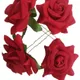 Red__Pravrajya