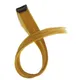 Light Brown__Pravrajya