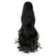 Black__Pravrajya