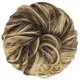 Light Brown__Pravrajya