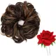Brown And Red__Pravrajya