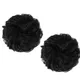 Black__Pravrajya