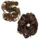 Brown__Pravrajya