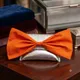 Orange And Silver__Sirazo