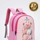 Pink__Pushplila Bags