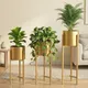 Gold__DEALIO IMPEX LLP