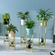 Gold And Green__TUSHTIQ
