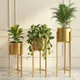 Golden__AR DECORS