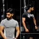 Multicolor