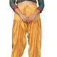 Mustard__Style Circle