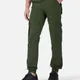 Dark Green__Urban Legends