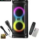 Pro-Wireless & Wired Mic__Stunner Audio