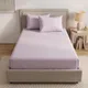 Lavender Pink__HomeCent