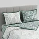 Sage Green__HomeCent