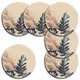 Set Of 6__SLEEKBODE