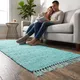Turquoise__Onyx Rugs