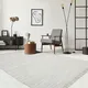 Grey__Onyx Rugs